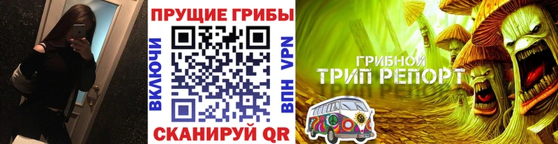 Купить где  Дзержинский  Галлюциногенные грибы мухоморы 